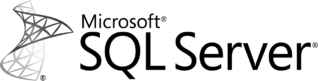Microsoft SQL Server Logo